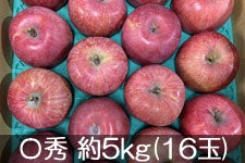 アグリンフレッシュ サンふじ 〇秀 約5kg(16玉) 11月13日以降発送