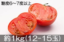 MBg}gH[ I[[WEg}g 1kg(12-15)