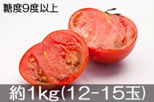 信州トマト工房 ルージュ・フルーツトマト 約1kg(12-15玉)