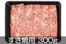 y2025p}CPz_ MBAvX[X ėp 300g