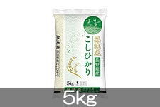 マイパール長野 無洗米長野コシヒカリ 5kg(令和7年産)