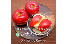 ファーム大澤屋 シナノスイート 約3kg(7-12玉)