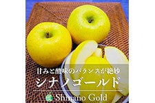 �t�@�[�����V�� �V�i�m�S�[���h ��5kg(8-18��)