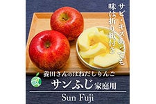 ファーム大澤屋 サンふじ 名人のはねだしりんご 家庭用 約1.4kg(4-5玉)