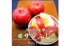 t@[V Tӂ 10kg(16-40)