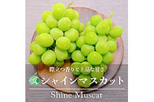 t@[V ①VC}XJbg 8[(4kg)
