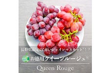 t@[V NC[[W p 3[(1.2kg)