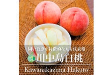 t@[V  쒆 G 5kg(14-24)
