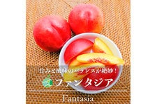 t@[V t@^WA 1kg