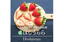 t@[V ق 4pbN(20-72)