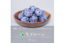t@[V v[ 2kg