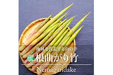 t@[V Ȃ| 300g 515ȍ~