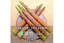 t@[V ͂ 1kg 525ȍ~