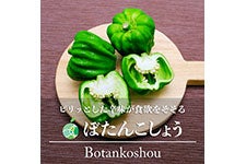 t@[V ڂ񂱂傤 12