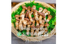 ファーム大澤屋 松茸 約400g(つぼみ): 全農長野 僕らはおいしい