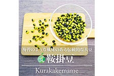 t@[V 炩 400g