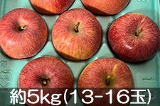 安田農園 サンふじ 約5kg(13-16玉) 12月10日以降発送