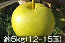 c_ \I 5kg(12-15) 910-20