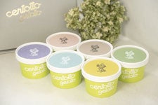 centotto gelato ؂̃WF[g 6Zbg