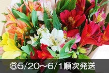 産地直送 通販 お取り寄せ季節の切花 ｊａタウン