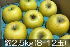 JA�S�_���� �V�i�m�S�[���h ��2.5kg(8-12��)