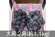 JA全農長野 ナガノパープル 大房 2房(約1.1kg)