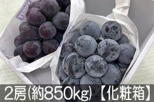 JAS_ Ȃ 2[(850g)yϔz