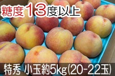 JAS_  G ʖ5kg(20-22)yx13xȏz