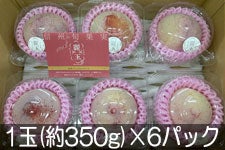 JAS_ (Vimp[) 1(350g)×6pbN