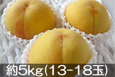 JA�S�_���� �����̂���� ��5kg(13-18��) 8��30��-9��11��������
