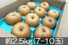 JAS_ ①쐅 2.5kg(7-10)