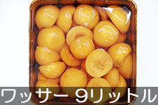 3801-998124.jpg