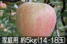ӂ邳Ɣ_ VimXC[g ƒp 5kg(14-18) 928ȍ~