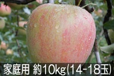 ӂ邳Ɣ_ VimXC[g ƒp 10kg(28-36) 928ȍ~