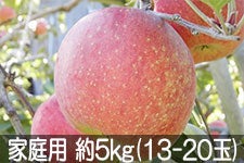 ӂ邳Ɣ_ Tӂ ƒp 5kg(13-20) 1112ȍ~