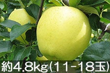 }q_ VimS[h 4.8kg(11-18)