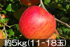 ct[c_ VimXC[g 5kg(11-18) 1010ȍ~
