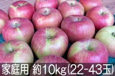 ct[c_ VimXC[g ƒp 10kg(22-43) 1015ȍ~