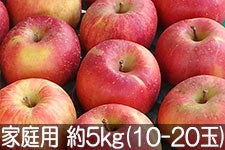 ct[c_ Tӂ ƒp 5kg(11-20) 128ȍ~