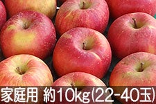 ct[c_ Tӂ ƒp 10kg(22-40) 128ȍ~