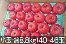 ˔_ Tӂ  8.8kg(40-46) 121ȍ~