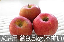 ˔_ Tӂ ƒp 9.5kg(s) 1215ȍ~