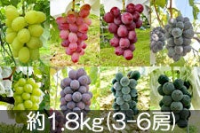˔_ {̂Ԃǂlߍ킹 1.8kg(3-6[)