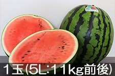 JA{nCh  1(5L:11kgO) 715ȍ~