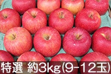 島田フルーツ農園 サンふじ 特選 約3kg(9-12玉) 12月4日以降発送