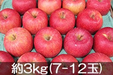 ct[c_ Tӂ I 3kg(9-12) 1212ȍ~