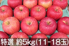 島田フルーツ農園 サンふじ 特選 約5kg(11-18玉) 12月4日以降発送