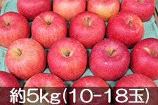 ct[c_ Tӂ I 5kg(11-18) 1212ȍ~
