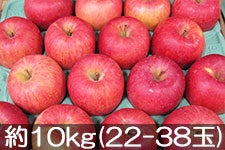 ct[c_ Tӂ I 10kg(23-38) 1212ȍ~