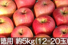 島田フルーツ農園 サンふじ 徳用 約5kg(12-20玉)